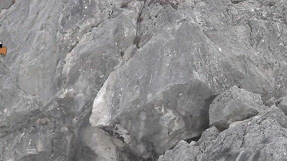 Bayard au pays des aigles