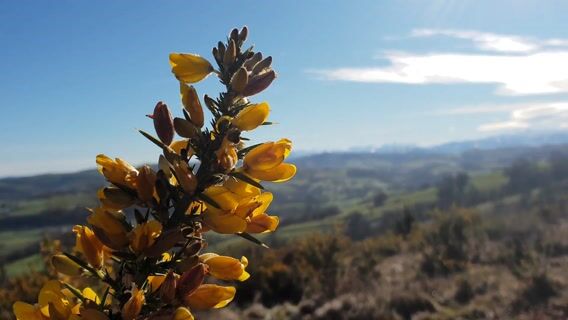 Un autre regard sur la nature