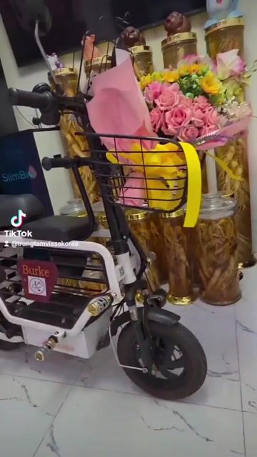 Xe đạp điện Nữ đã sử dụng 99%. Mua bán Xe điện tại Quận Tân Bình Tp Hồ Chí Minh được đăng bởi Thithuha Truong hình 1