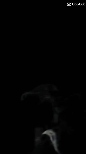 Yamaha XSR 155 Đen sần full đồ- cả màn hình LCD to. Mua bán Xe máy tại Quận Cầu Giấy Hà Nội được đăng bởi Tong motor xe may hình 1