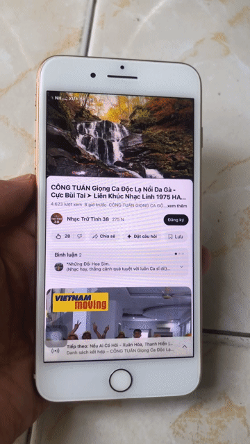 Apple iPhone 8 Plus 256GB Vàng.full vân tay. Mua bán Điện thoại tại Quận 12 Tp Hồ Chí Minh được đăng bởi hoang huy thai hình 1
