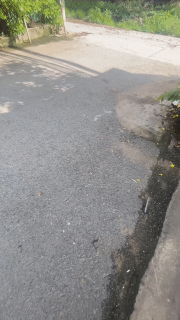 Cho thuê Nhà ở Quận Bình Tân Tp Hồ Chí Minh diện tích 55 m² giá 6 triệu/tháng