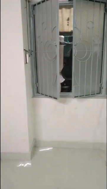 Cho thuê Căn hộ Chung cư Quận 1 Tp Hồ Chí Minh diện tích 25 m² giá 4,5 triệu/tháng