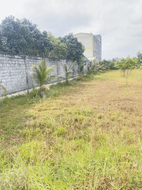 Mua bán Đất Huyện Đức Hòa Long An diện tích 1136 m² giá 4 tỷ