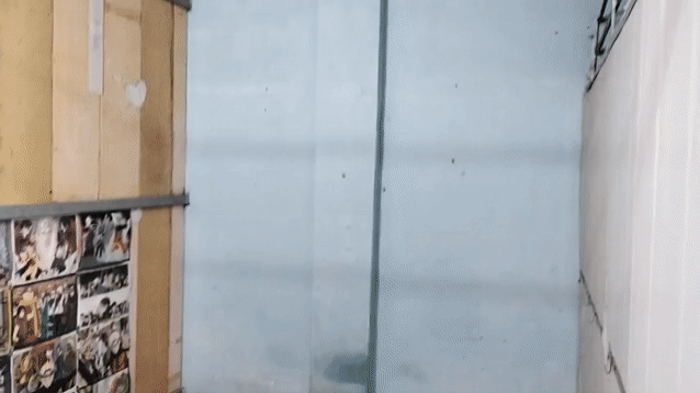 Cho thuê Phòng trọ Quận 3 Tp Hồ Chí Minh diện tích 15 m² giá 1,5 triệu/tháng