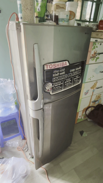Tủ lạnh Toshiba 280 lít 2 cửa ngăn đá trên. Mua bán Tủ lạnh tại Quận Gò Vấp Tp Hồ Chí Minh được đăng bởi Quân hình 1