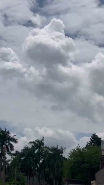 📛✅Sirius 110 xe kiểng đẹp, máy zin êm nhẹ nhàng.. Mua bán Xe máy tại Huyện Trảng Bom Đồng Nai được đăng bởi phương hình 1