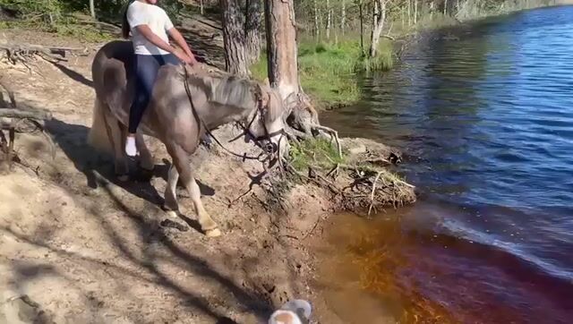 Världens snällaste B-ponny söker sitt nya hem!
