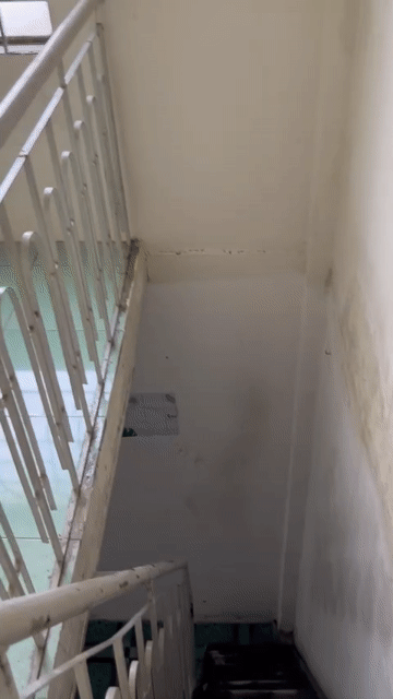 Cho thuê Nhà ở Quận Tân Bình Tp Hồ Chí Minh diện tích 16 m² giá 4 triệu/tháng
