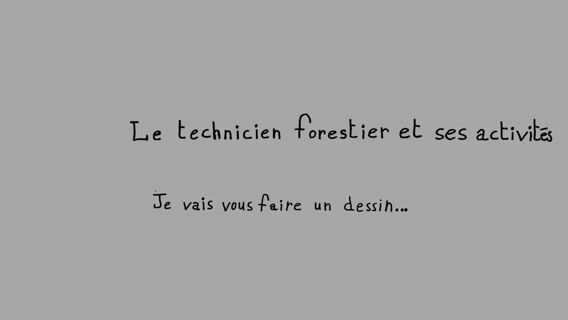 Le technicien forestier et ses activités