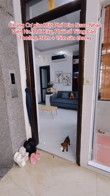 Mua bán Căn hộ Chung cư Quận Đống Đa Hà Nội diện tích 36 m² giá 1,75 tỷ