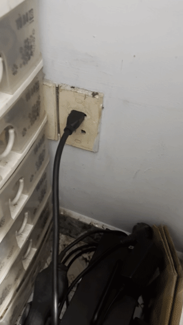 Máy cắt Shindaiwa Nhật Bản 220V. Mua bán Đồ chuyên dụng, Giống nuôi trồng tại Quận Bình Thạnh Tp Hồ Chí Minh được đăng bởi Hello hình 1