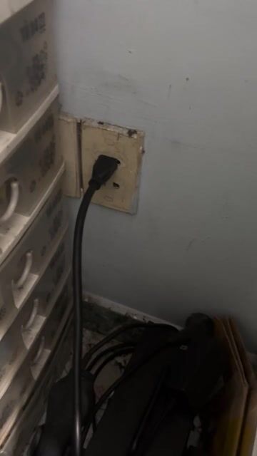 Máy cắt Shindaiwa Nhật Bản 220V. Mua bán Đồ chuyên dụng, Giống nuôi trồng tại Quận Bình Thạnh Tp Hồ Chí Minh được đăng bởi Hello hình 1