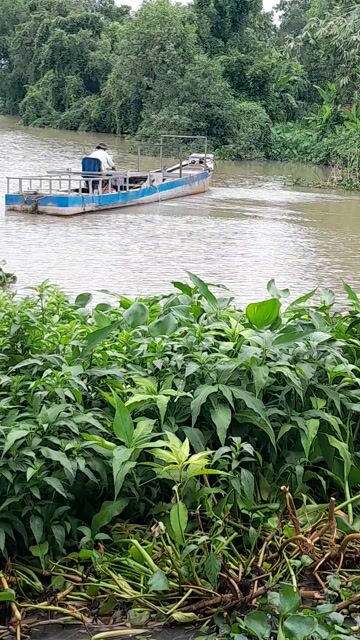 Thuyền sắt máy thủy. Mua bán Phương tiện khác tại Huyện Châu Thành Bến Tre được đăng bởi Nhan tran hình 1