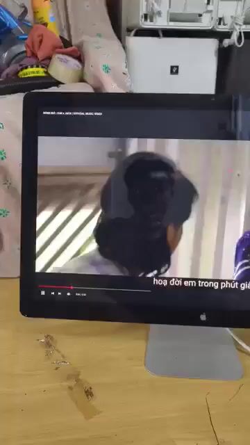 Apple Thunderbolt Display 27 inch 2K. Mua bán Phụ kiện (Màn hình, Chuột...) tại Thành phố Rạch Giá Kiên Giang được đăng bởi Thanh hình 1