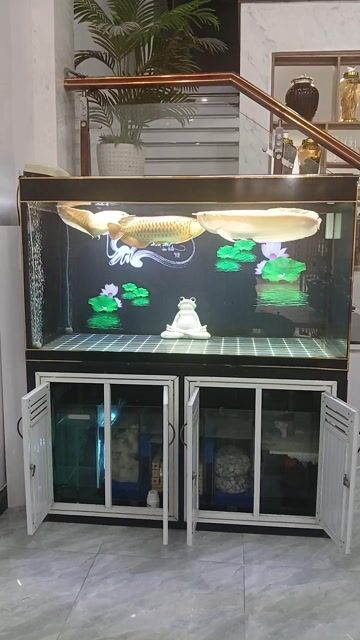 Bể cá cảnh 4 lớp đáy 1m39x68x81. Mua bán Phụ kiện, Thức ăn, Dịch vụ tại Thị xã Bến Cát Bình Dương được đăng bởi Mr Cường hình 1