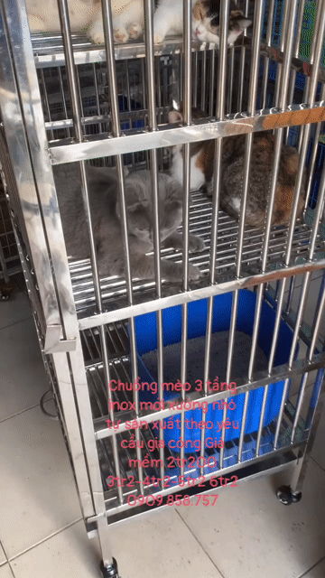 chuồng inox mới❤️ siêu to🌈 🚗sĩ lẻ đủ,hàng dày tôt. Mua bán Phụ kiện, Thức ăn, Dịch vụ tại Quận 8 Tp Hồ Chí Minh được đăng bởi Cửa Hàng Thanh Lý Đồ Cũ Mới hình 1