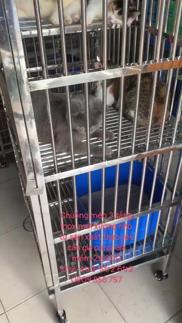 chuồng inox mới❤️ siêu to🌈 🚗sĩ lẻ đủ,hàng dày tôt. Mua bán Phụ kiện, Thức ăn, Dịch vụ tại Quận 8 Tp Hồ Chí Minh được đăng bởi Cửa Hàng Thanh Lý Đồ Cũ Mới hình 1