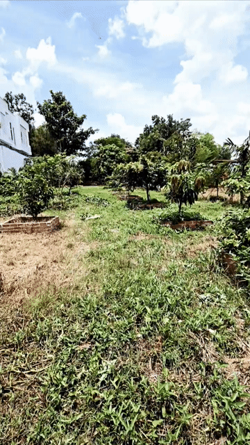 Mua bán Đất Huyện Củ Chi Tp Hồ Chí Minh diện tích 2100 m² giá 9 tỷ