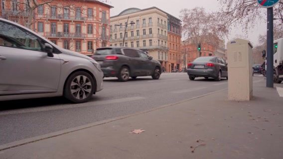 Metamorphose "l'art de l'aménagement paysager"