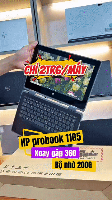HP ProBook 11 G5 x360 Celeron N4020 11.6 inch 200G. Mua bán Laptop tại Quận Kiến An Hải Phòng được đăng bởi Đạt Tồ hình 1