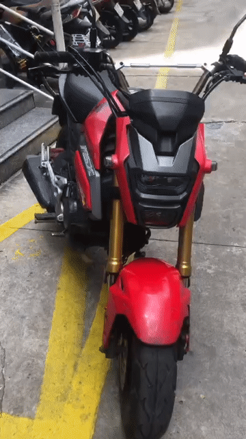 Honda MSX 2018 Đỏ Số sàn. Mua bán Xe máy tại Quận 6 Tp Hồ Chí Minh được đăng bởi Anh hoà 78 hình 1