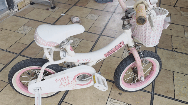 Xe đạp trẻ em Royal Baby Trắng, Hồng. Mua bán Xe đạp tại Quận Bắc Từ Liêm Hà Nội được đăng bởi abc hình 1