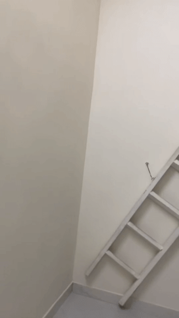 Cho thuê Phòng trọ Quận 7 Tp Hồ Chí Minh diện tích 20 m² giá 3 triệu/tháng