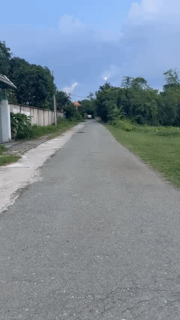 Cho thuê Đất Huyện Củ Chi Tp Hồ Chí Minh diện tích 5700 m² giá 15 triệu/tháng