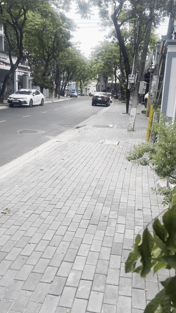 Mua bán Văn phòng, Mặt bằng kinh doanh Thành phố Thủ Dầu Một Bình Dương diện tích 98.6998 m² giá 10 tỷ