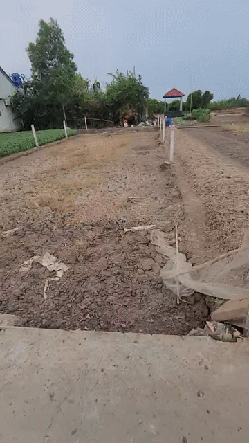 Mua bán Đất Huyện Cần Giuộc Long An diện tích 200 m² giá 600 triệu