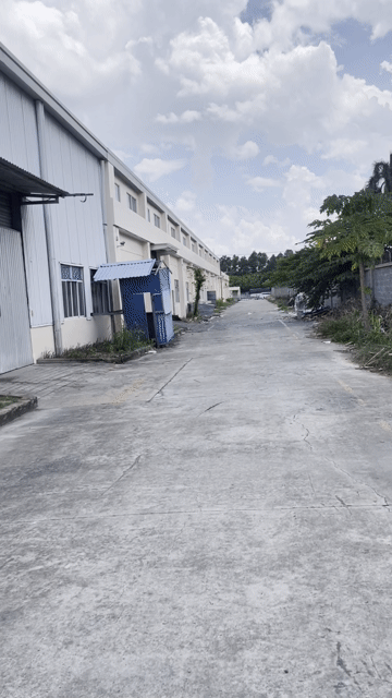 Cho thuê Văn phòng, Mặt bằng kinh doanh Thành phố Thủ Dầu Một Bình Dương diện tích 18 m² giá 500 triệu/tháng