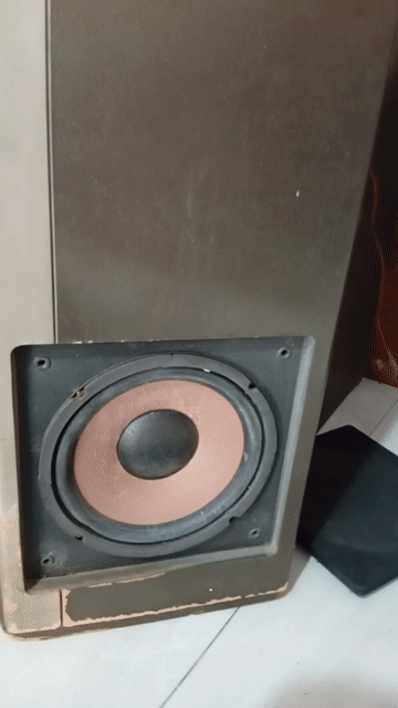 Bộ loa DTLAUDIO Digital Echo Premier. Mua bán Tivi, Âm thanh tại Quận Liên Chiểu Đà Nẵng được đăng bởi anh nhân  hình 1