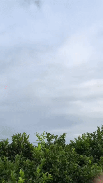 Mua bán Đất Huyện Đồng Phú Bình Phước diện tích 3000 m² giá 175 triệu