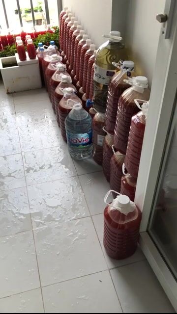 Vi sinh PSB (nước trong cá khoẻ). Mua bán Phụ kiện, Thức ăn, Dịch vụ tại Quận 12 Tp Hồ Chí Minh được đăng bởi Vương Thanh hình 1