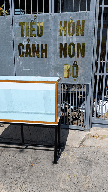 Bể cá cảnh Kính 8li 100x40x50cm. Mua bán Phụ kiện, Thức ăn, Dịch vụ tại Thị xã Phú Mỹ Bà Rịa - Vũng Tàu được đăng bởi Pets  hình 1