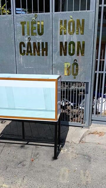 Bể cá cảnh Kính 8li 100x40x50cm. Mua bán Phụ kiện, Thức ăn, Dịch vụ tại Thị xã Phú Mỹ Bà Rịa - Vũng Tàu được đăng bởi Pets  hình 1