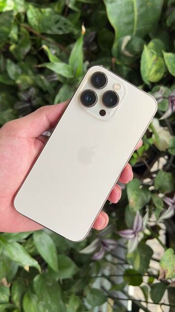 13 Pro 256GB Gold LL/A - Zin All - Mới Thay pin100. Mua bán Điện thoại tại Quận 1 Tp Hồ Chí Minh được đăng bởi Cường City hình 1