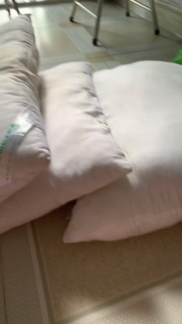 Gối HUMETEX Cotton, Polyester Trắng Đã sử dụng. Mua bán Giường, chăn ga gối nệm tại Quận Tân Phú Tp Hồ Chí Minh được đăng bởi Nguyen Tri hình 1