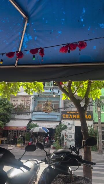Chim Ốc Mít Đực Đã hót. Mua bán Chim tại Quận Tân Phú Tp Hồ Chí Minh được đăng bởi Mon PTS hình 1