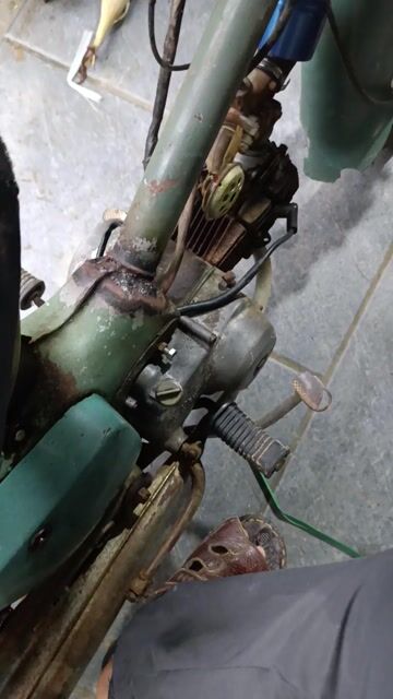 cub 78. Mua bán Xe máy tại Huyện Mỹ Đức Hà Nội được đăng bởi văn thành hình 1