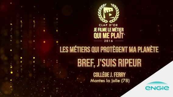 Bref jsuis ripeur