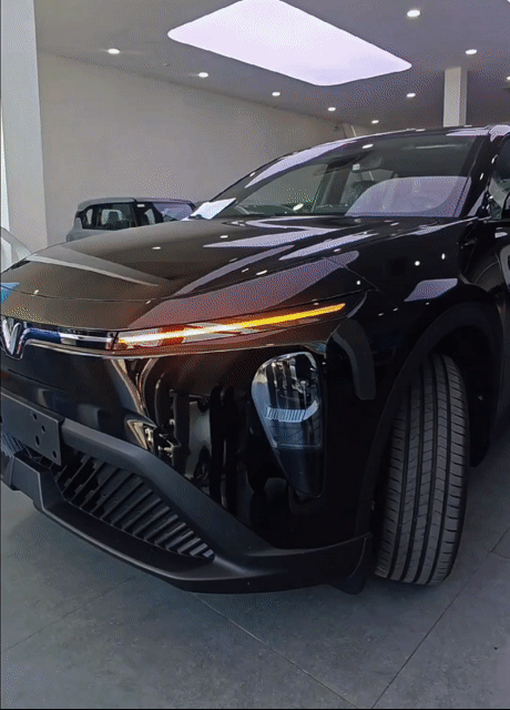 Limo Free sạc không giới hạn, nhận xe từ 80tr. Mua bán Ô tô tại Quận 5 Tp Hồ Chí Minh được đăng bởi Lê Bích Vinfast hình 1