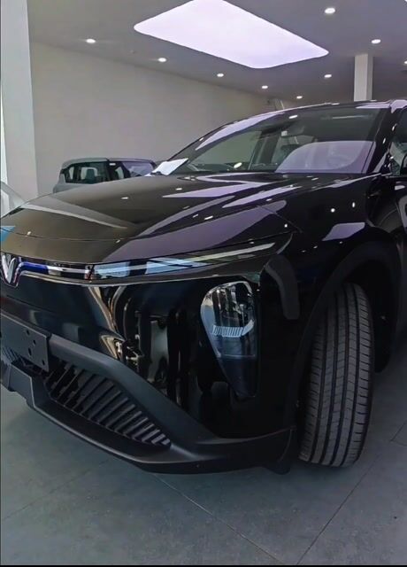 Limo chỉ từ 80tr nhận xe_Miễn phí ra biển vàng. Mua bán Ô tô tại Quận 5 Tp Hồ Chí Minh được đăng bởi Lê Bích Vinfast hình 1