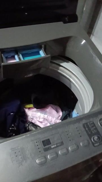 Máy giặt Toshiba 9kg. Mua bán Máy giặt tại Quận Sơn Trà Đà Nẵng được đăng bởi Nguyễn Duy Quang Hoàng hình 1