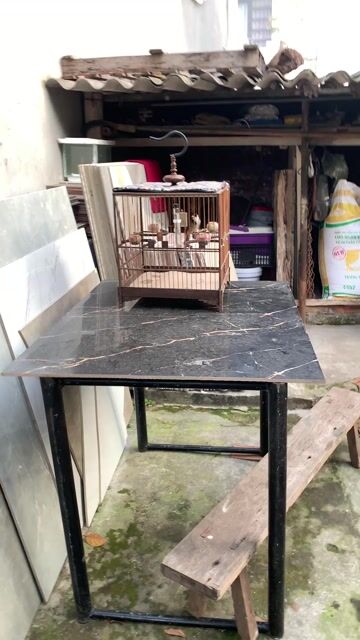 Chim chào mào Đen trắng đỏ. Mua bán Chim tại Huyện Gia Lâm Hà Nội được đăng bởi Nguyễn Đức Điệp  hình 1