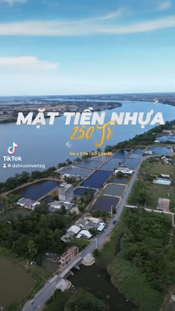 Mua bán Đất Huyện Tân Phú Đông Tiền Giang diện tích 137 m² giá 250 triệu