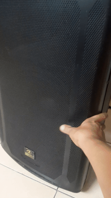 Loa kéo Rinton PL-5 Đen. Mua bán Tivi, Âm thanh tại Quận Bình Tân Tp Hồ Chí Minh được đăng bởi quốc trường  hình 1