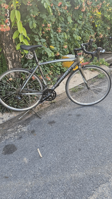 Xe đạp đua Bianchi khung nhôm. Mua bán Xe đạp tại Huyện Hóc Môn Tp Hồ Chí Minh được đăng bởi MR RÔ hình 1