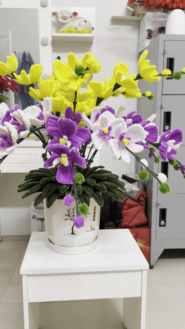 Chậu hoa lan Kẽm nhung Vàng, tím, trắng. Mua bán Cây cảnh, đồ trang trí tại Quận Tân Phú Tp Hồ Chí Minh được đăng bởi Nguyễn Trinh hình 1